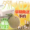 【早期発送・一番成り】北海道 ”夕張メロン” 共撰・優品以上限定 1玉 約1.6kg 専用化粧箱【予約 5月末以降】 送料無料