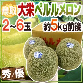 鳥取県 ”大栄ペルルメロン” 秀/優品 2～6玉 約5kg【予約 6月下旬以降】 送料無料