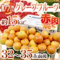 南アフリカ産 ”グレープフルーツ ルビー” 大玉32～35玉前後 約15kg【予約 6月中旬以降】 送料無料