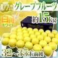 南アフリカ産 ”グレープフルーツ ホワイト” 大玉32～35玉前後 約15kg【予約 6月中旬以降】 送料無料