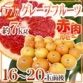 南アフリカ産 ”グレープフルーツ ルビー” 大玉16～20玉前後 約7kg【予約 6月中旬以降】 送料無料