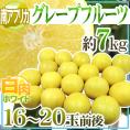 南アフリカ産 ”グレープフルーツ ホワイト” 大玉16～20玉前後 約7kg【予約 6月中旬以降】 送料無料