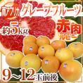 南アフリカ産 ”グレープフルーツ ルビー” 大玉9～12玉前後 約5kg【予約 6月中旬以降】 送料無料