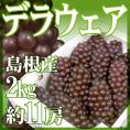 島根産 種なしぶどう ”デラウェア” 8～13房 約2kg【予約 6月以降】 送料無料