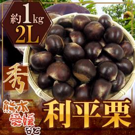 ”利平栗” 秀品 大粒2L 約1kg 熊本産・愛媛産など【予約 9月下旬以降】