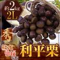 ”利平栗” 秀品 大粒2L 約2kg 熊本産・愛媛産など【予約 9月下旬以降】 送料無料