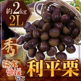 ”利平栗” 秀品 大粒2L 約2kg 熊本産・愛媛産など【予約 9月下旬以降】 送料無料