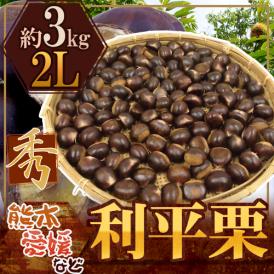 ”利平栗” 秀品 大粒2L 約3kg 熊本産・愛媛産など【予約 9月下旬以降】 送料無料