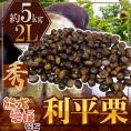 ”利平栗” 秀品 大粒2L 約5kg 熊本産・愛媛産など【予約 9月下旬以降】 送料無料