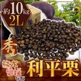 ”利平栗” 秀品 大粒2L 約10kg 熊本産・愛媛産など【予約 9月下旬以降】 送料無料