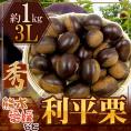 ”利平栗” 秀品 超大粒3L 約1kg 熊本産・愛媛産など【予約 9月下旬以降】