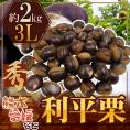 ”利平栗” 秀品 超大粒3L 約2kg 熊本産・愛媛産など【予約 9月下旬以降】 送料無料