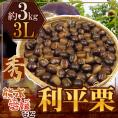”利平栗” 秀品 超大粒3L 約3kg 熊本産・愛媛産など【予約 9月下旬以降】 送料無料