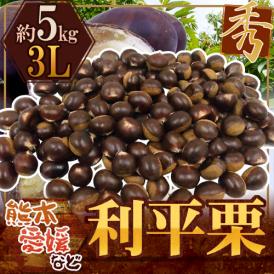 ”利平栗” 秀品 超大粒3L 約5kg 熊本産・愛媛産など【予約 9月下旬以降】 送料無料