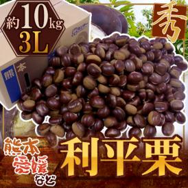 ”利平栗” 秀品 超大粒3L 約10kg 熊本産・愛媛産など【予約 9月下旬以降】 送料無料