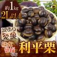 ”利平栗” 大粒2L以上 約1kg 裂果 熊本産・愛媛産など 訳あり【予約 9月末以降】