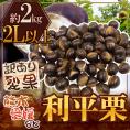 ”利平栗” 大粒2L以上 約2kg 裂果 熊本産・愛媛産など 訳あり【予約 9月末以降】 送料無料