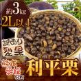 ”利平栗” 大粒2L以上 約3kg 裂果 熊本産・愛媛産など 訳あり【予約 9月末以降】 送料無料