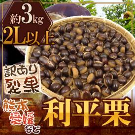 ”利平栗” 大粒2L以上 約3kg 裂果 熊本産・愛媛産など 訳あり【予約 9月末以降】 送料無料