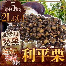 ”利平栗” 大粒2L以上 約5kg 裂果 熊本産・愛媛産など 訳あり【予約 9月末以降】 送料無料