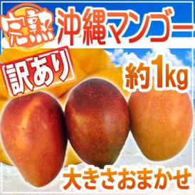 ”沖縄産 完熟マンゴー” 訳あり 約1kg 沖縄マンゴー【予約 7月下旬以降】 送料無料