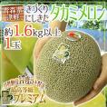 ”青森県 きづくり・にしきた タカミメロン ” プレミアム等級 1玉 約1.6kg以上 糖度17度以上【予約 6月末以降】