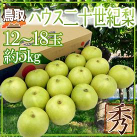 鳥取産 ”ハウス二十世紀梨” 秀品 大玉 12～18玉 約5kg【予約 8月上旬以降】 送料無料