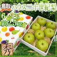 ”鳥取産 ハウス二十世紀梨” 秀品 大玉 6～9玉 約2.5kg【予約 8月上旬以降】 送料無料