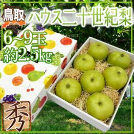 ”鳥取産 ハウス二十世紀梨” 秀品 大玉 6～9玉 約2.5kg【予約 8月上旬以降】 送料無料