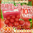 北海道 ”JAながぬま 高糖度プレミアムトマト” 約900g 化粧箱 糖度10度以上保証【予約 6月中旬以降】 送料無料