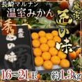 長崎県 ○南（マルナン） ”温室みかん 匠の味” 秀品 16～21玉 約1.3kg【予約 6月中旬以降】 送料無料