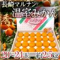 長崎産 ○南（マルナン） ”温室みかん” 秀品 20～24玉 約2.5kg【予約 6月中旬以降】 送料無料