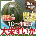 鳥取県 ”ジャンボ大栄すいか” 訳あり 特大5Lサイズ 約10kg以上《2玉購入で送料無料》大栄西瓜【予約 6月中旬以降】