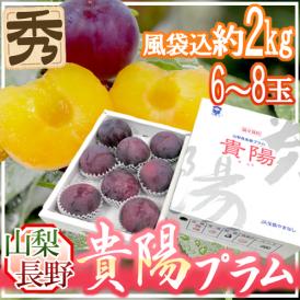 山梨・長野産 ”貴陽プラム” 特大6〜8玉 約2kg（風袋込） 化粧箱【予約 7月以降】 送料無料