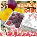 山梨・長野産 ”貴陽プラム” 6～11玉 約2kg（風袋込） 化粧箱【予約 7月以降】 送料無料