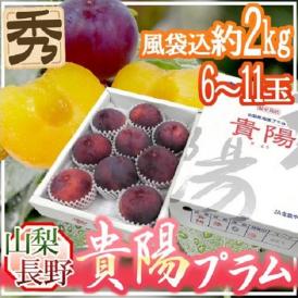 山梨・長野産 ”貴陽プラム” 6〜11玉 約2kg（風袋込） 化粧箱【予約 7月以降】 送料無料