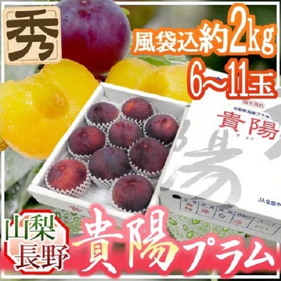山梨・長野産 &rdquo;貴陽プラム&rdquo; 6～11玉 約2kg（風袋込） 化粧箱【予約 7月以降】 送料無料01
