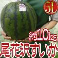 ”山形県産 尾花沢スイカ” 大玉 5Lサイズ 1玉 約9～11kg ちょっと訳あり【予約 8月以降】 送料無料