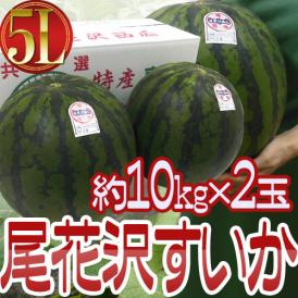 山形県産 ”尾花沢スイカ” 大玉 5Lサイズ 2玉入り 約20kg ちょっと訳あり【予約 8月以降】 送料無料