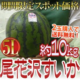 ”山形県産 尾花沢スイカ” 大玉 5Lサイズ 1玉 約9～11kg ちょっと訳あり《2玉購入で送料無料》【予約 8月以降】