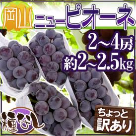 岡山産 ”種なしニューピオーネ” 2～4房 約2～2.5kg ちょっと訳あり ぶどう【予約 9月以降】 送料無料