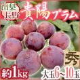 山梨・長野産 ”貴陽プラム” 6～10玉 約1kg【予約 7月下旬以降】