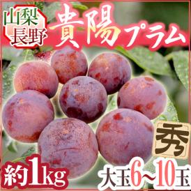 山梨・長野産 ”貴陽プラム” 6～10玉 約1kg【予約 7月下旬以降】