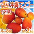 ”沖縄産 完熟マンゴー” 訳あり 4～8玉前後 約2kg 沖縄マンゴー【予約 7月下旬以降】 送料無料