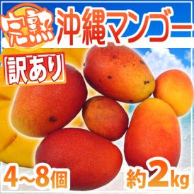 ”沖縄産 完熟マンゴー” 訳あり 4～8玉前後 約2kg 沖縄マンゴー【予約 7月下旬以降】 送料無料