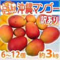 ”沖縄産 完熟マンゴー” 訳あり 6～12玉前後 約3kg 沖縄マンゴー【予約 7月下旬以降】 送料無料