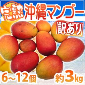 ”沖縄産 完熟マンゴー” 訳あり 6～12玉前後 約3kg 沖縄マンゴー【予約 7月下旬以降】 送料無料