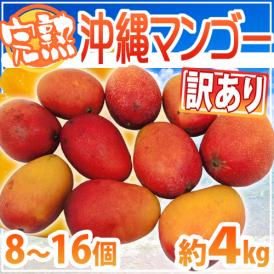 ”沖縄産 完熟マンゴー” 訳あり 8～16玉前後 約4kg 沖縄マンゴー【予約 7月下旬以降】 送料無料