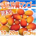 ”沖縄産 完熟マンゴー” 訳あり 10～20玉前後 約5kg 沖縄マンゴー【予約 7月下旬以降】 送料無料
