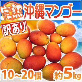 ”沖縄産 完熟マンゴー” 訳あり 10～20玉前後 約5kg 沖縄マンゴー【予約 7月下旬以降】 送料無料